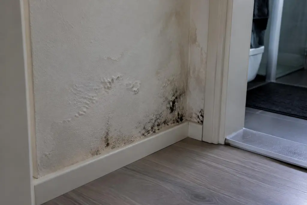Lekdetectie Wageningen – vochtplek met schimmel op een muur
